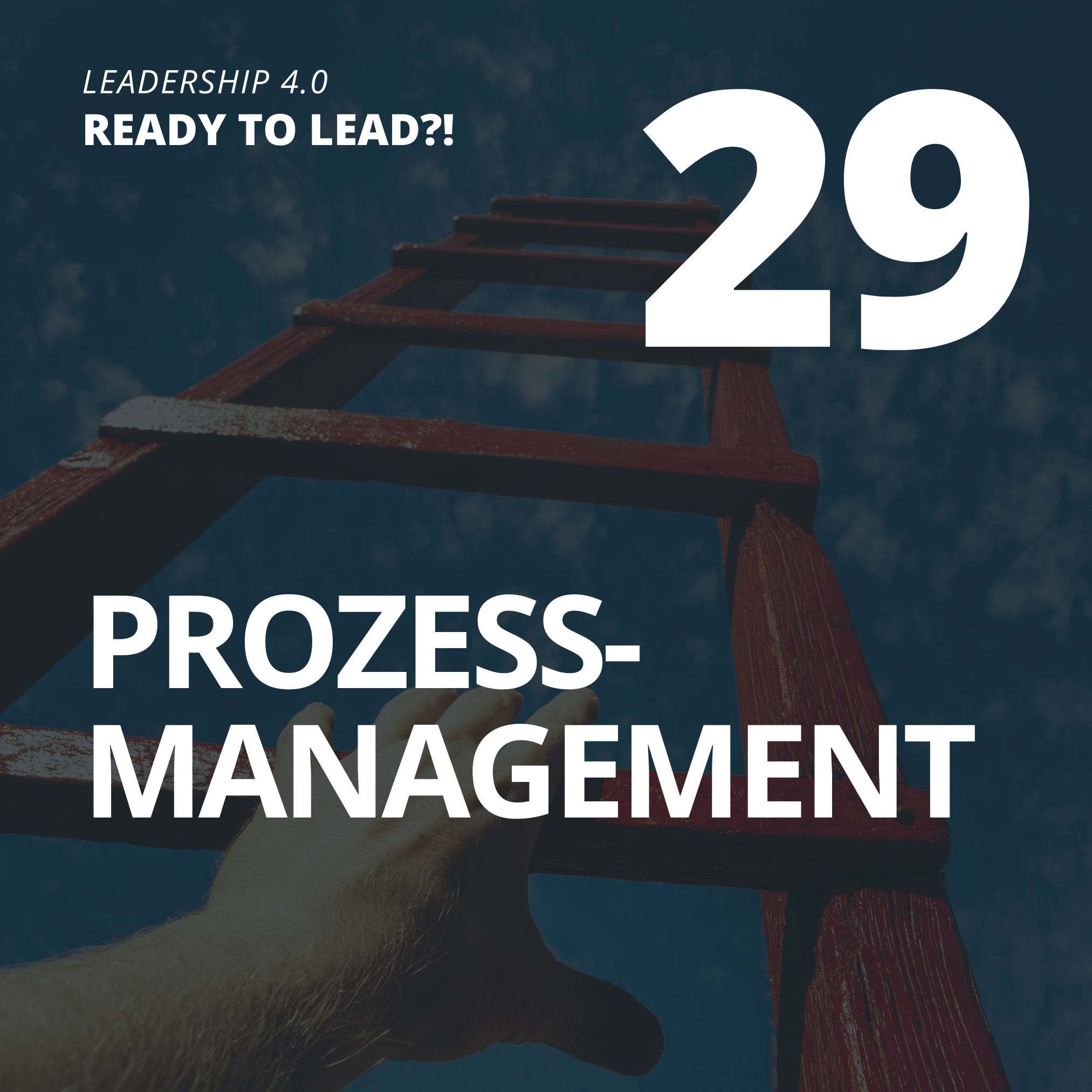 28 Prozessmanagement 03 Theorie